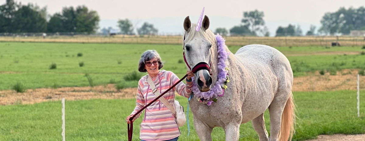 Unicorn Festival